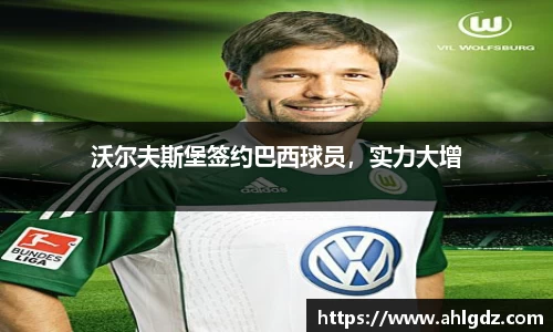 沃尔夫斯堡签约巴西球员，实力大增