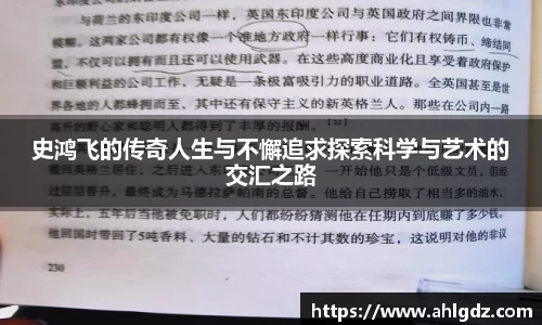 史鸿飞的传奇人生与不懈追求探索科学与艺术的交汇之路