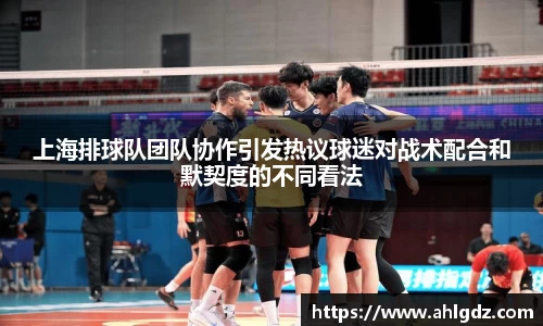 上海排球队团队协作引发热议球迷对战术配合和默契度的不同看法