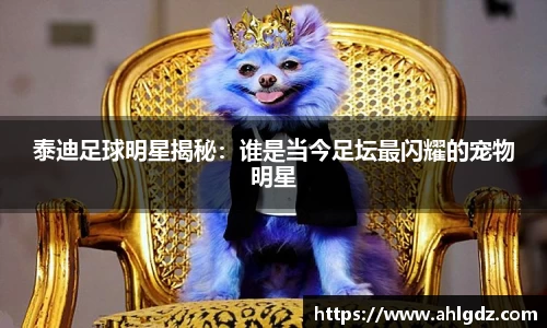 ac米兰体育平台